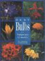 Best Bulbs for Temperate Climates