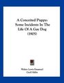A Conceited Puppy Some Incidents In The Life Of A Gay Dog