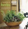 A Handful of Herbs Inspiring Ideas for Gardening Cooking and Decorating Your Home With Herbs