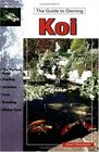 The Guide to Owning Koi