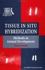 Tissue In Situ Hybridization  Methods in Animal Development