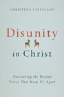 Disunity in Christ: Uncovering the Hidden Forces that Keep Us Apart