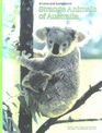 Strange Animals of Australia Koalas and Kangaroos