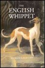 The English Whippet