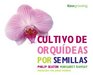 Cultivo de Orquideas por Semillas Growing Orchids from Seed  Spanishlanguage Edition
