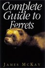 Complete Guide to Ferrets