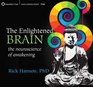 The Enlightened Brain The Neuroscience of Awakening