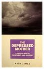 Depressed Mother a Practical Guide to Treat