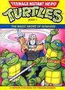 Teenage Mutant Hero Turtles Book 1 The Magic Sword of Nowhere