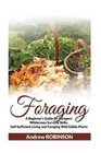 Foraging A Beginner's Guide for Foragers Wilderness Survival Skills SelfSufficient Living and  Foraging Wild Edible Plants