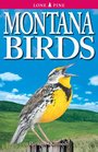 Montana Birds