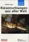 RIESENSCHLANGEN A A WELT