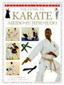 The Guide to Karate  Judo Aikido JuJitsu