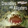 Crocodiles And Alligators