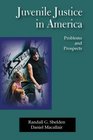 Juvenile Justice In America Problems and Prospects