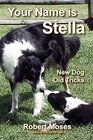 Your Name is Stella