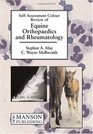 Equine Orthopaedics  Rheumatology