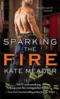 Sparking the Fire (Hot in Chicago, Bk 3)