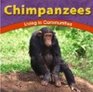 Chimpanzees Living in Communities