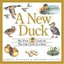 A New Duck My First Look at the Life Cycle of a Bird