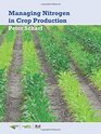 Managing Nitrogen in Crop Production