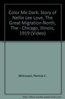 Color Me Dark Story of Nellie Lee Love The Great Migration North The  Chicago Illinois 1919