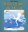 What's Under the Ocean