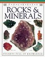 Rocks and Minerals (Pocket Guides)