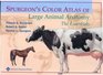 Spurgeon's Color Atlas of Large Animal Anatomy The Essentials