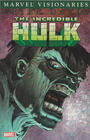 Incredible Hulk Visionaries Peter David Vol 3