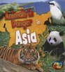 Animals in Danger in Asia