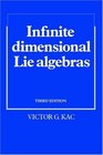 InfiniteDimensional Lie Algebras