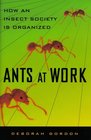 Ants At Work  How An Insect Society Is Organized