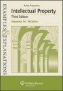 Intellectual Property Examples  Explanations Third Edition