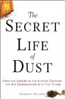 The Secret Life of Dust From the Cosmos to the Kitchen Counter the Big Consequences of Little Things