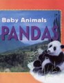 Baby AnimalsPandas