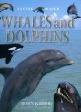 Whales and Dolphins