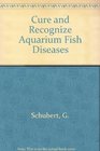 Cure and Recognize Aquarium Fish Diseases