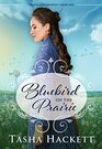 Bluebird on the Prairie (Hearts of the Midwest, Bk 1)