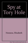 Spy at Tory Hole