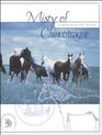 Misty of Chincoteague Comprehesion Guide