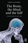 The Brain the Mind and the Self A psychoanalytic road map