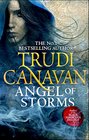 Angel of Storms (Millennium's Rule, Bk 2)