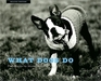 What Dogs Do