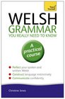 Welsh Grammar You Really Need to Know A Teach Yourself Guide