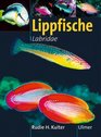 Lippfische  Familie Labridae Marine Fischfamilien