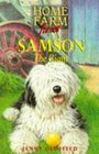 Home Farm Twins 10  Samson Giant