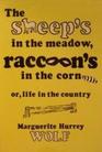 The Sheep's in the Meadow Raccoon's in the Corn Or Life in the Country
