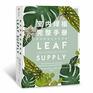 Leaf SupplyA Guide to Keeping Happy Houseplant