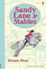 Sandy Lane Stables Dream Pony